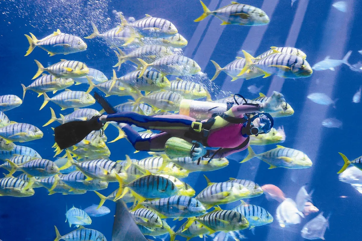 海．島．人  台灣生態景觀全都錄