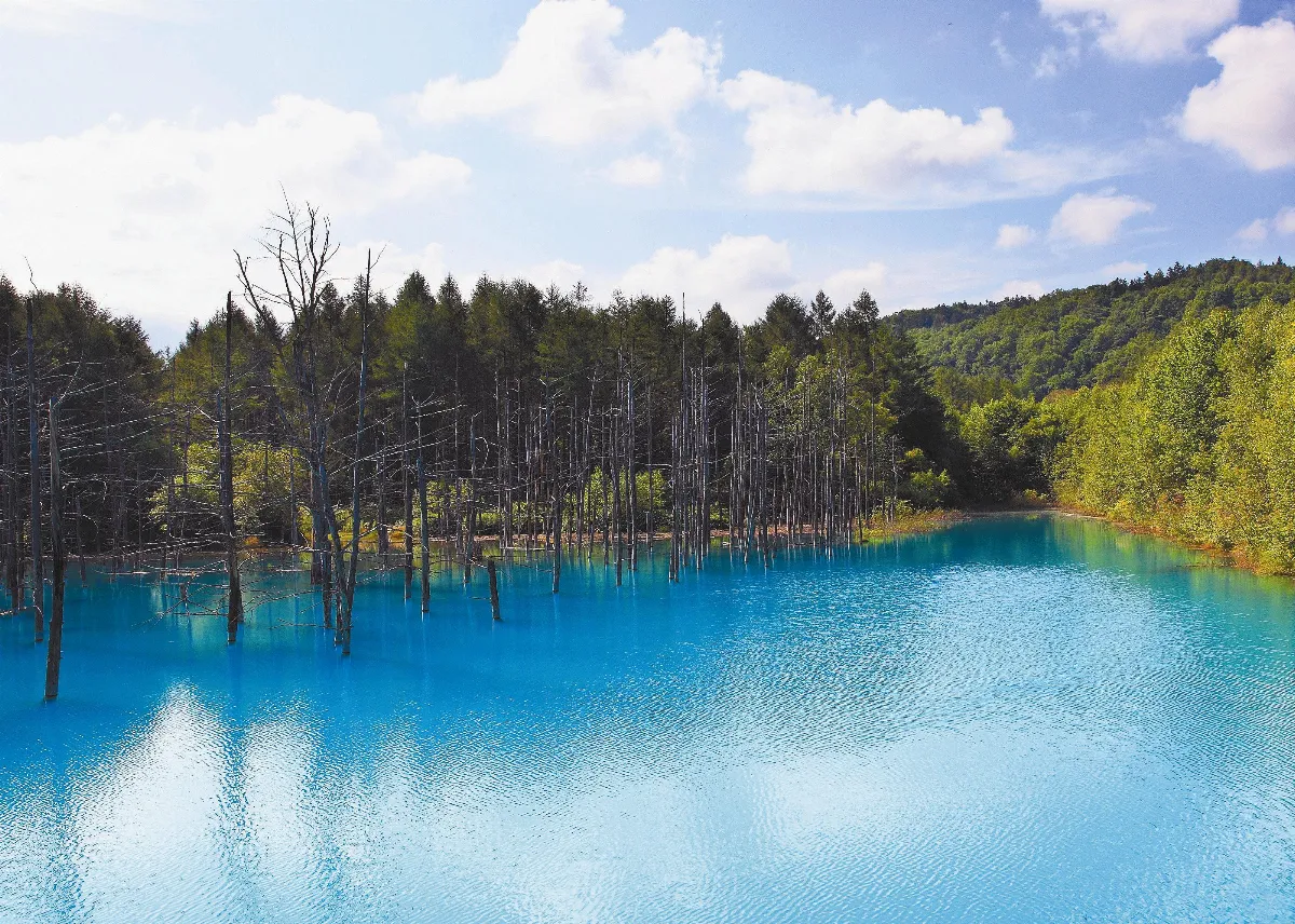 美學巡旅  北海道美攝