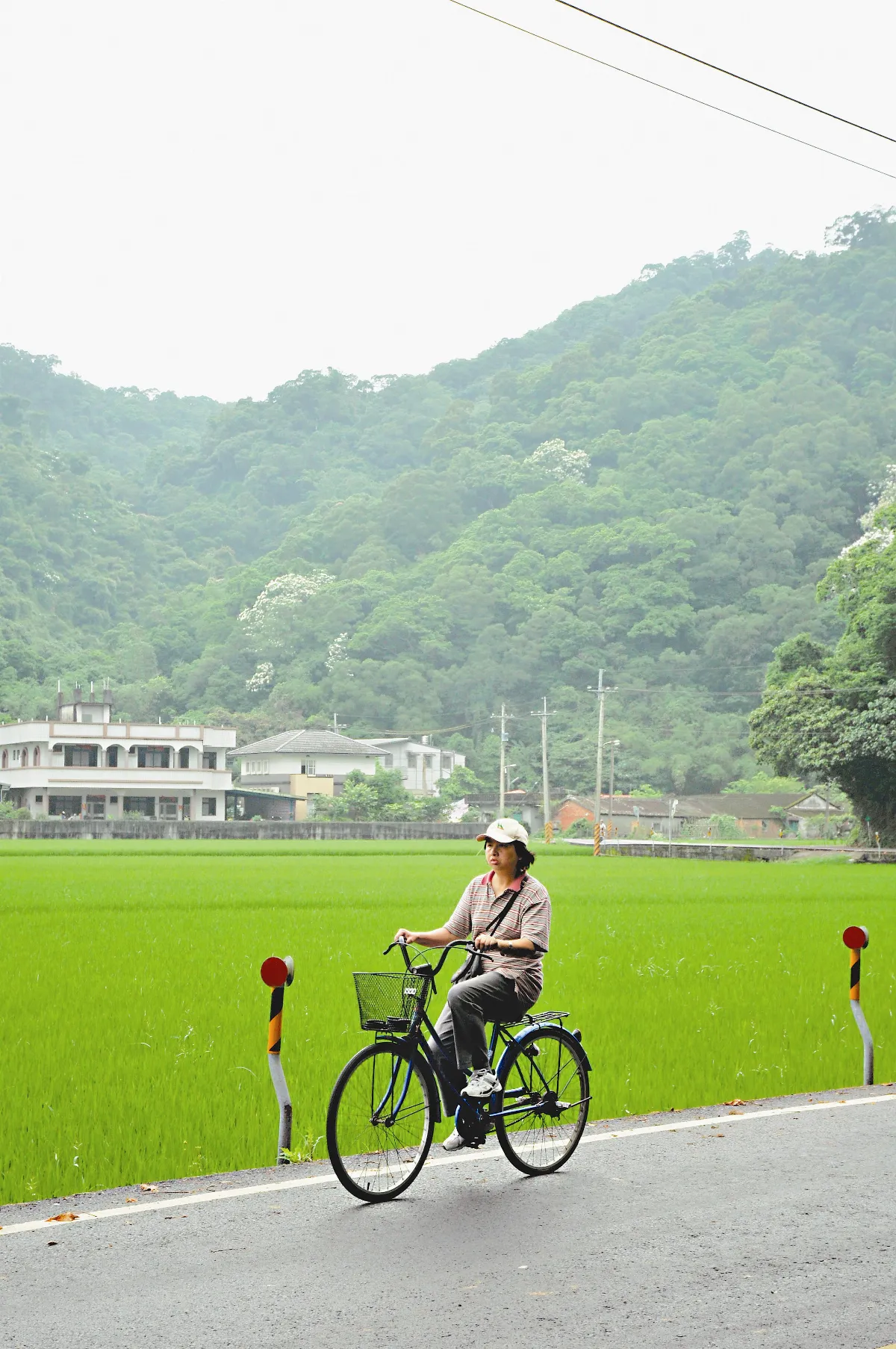 跟著蔬食去旅行