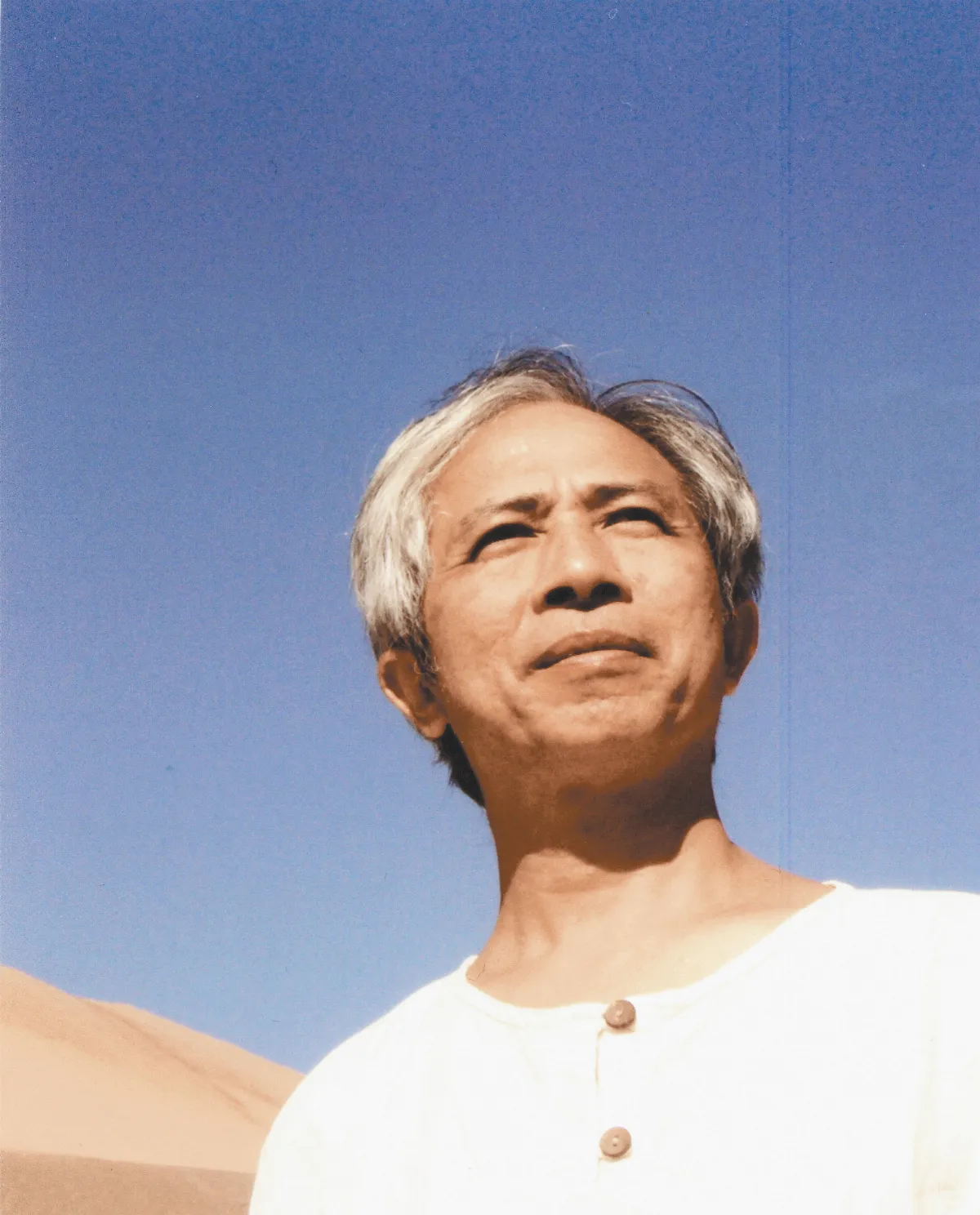 林谷芳自在行禪
