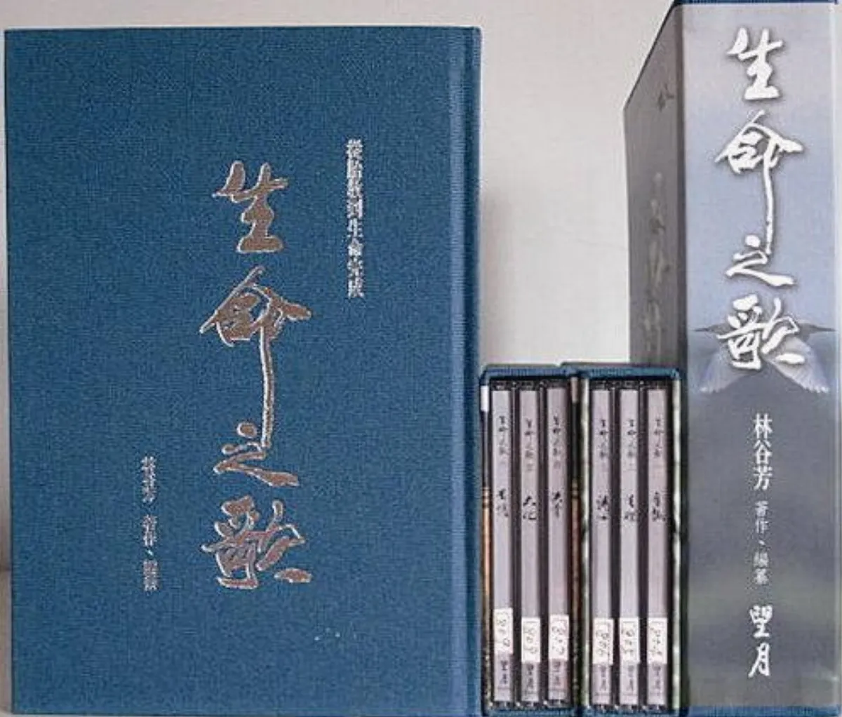 【林谷芳禪書】