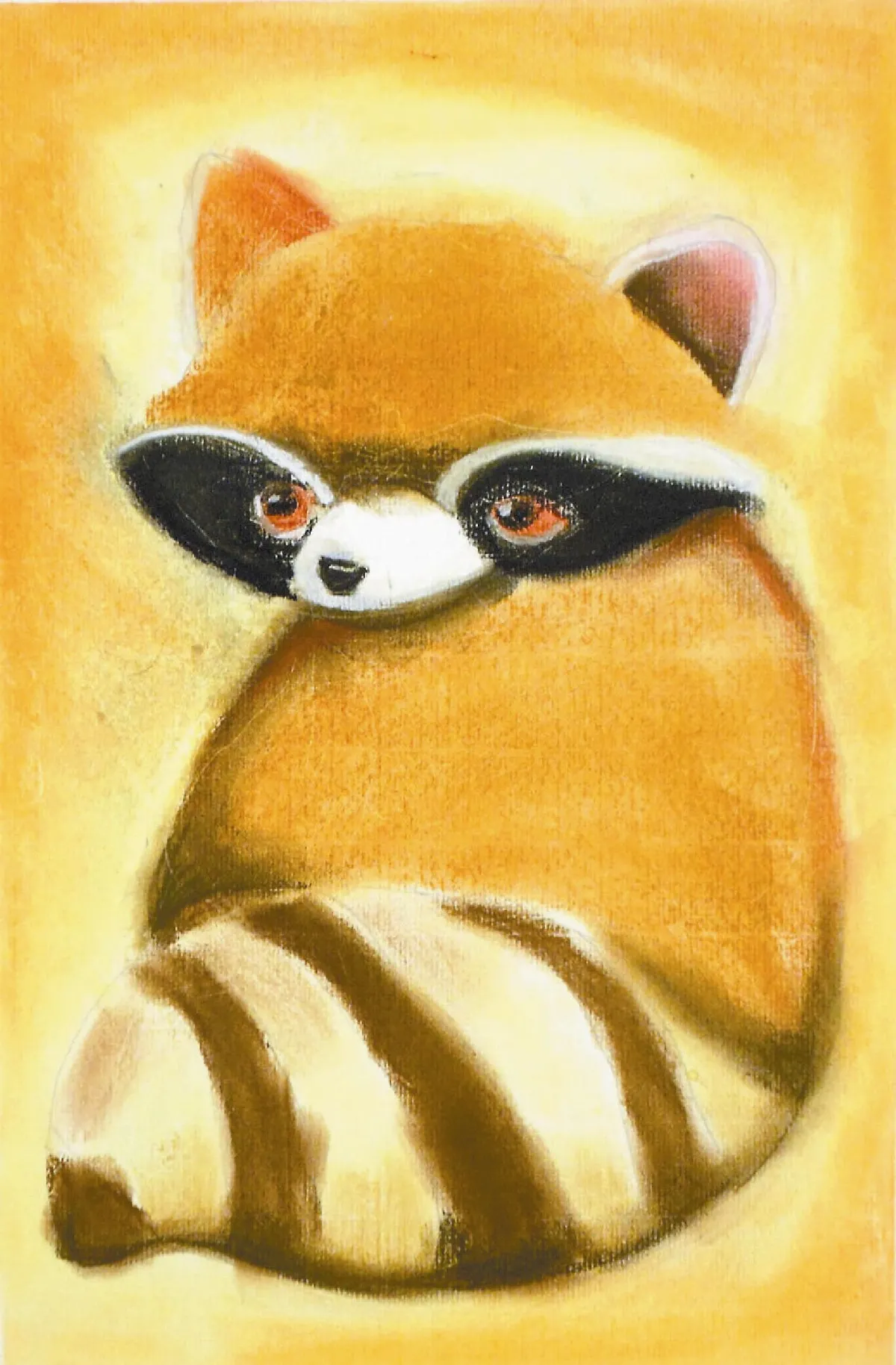 快樂塗鴉簿   小浣熊