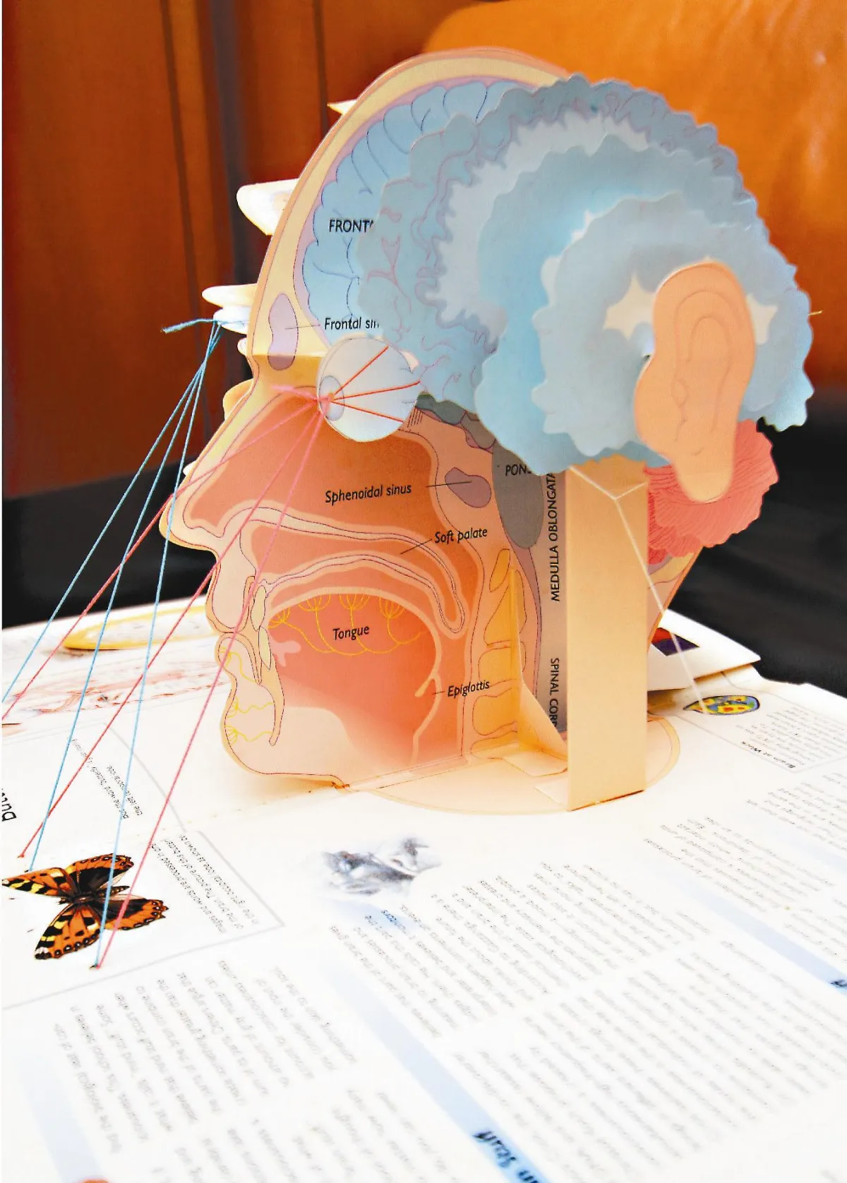 30年蒐3千冊 立體書