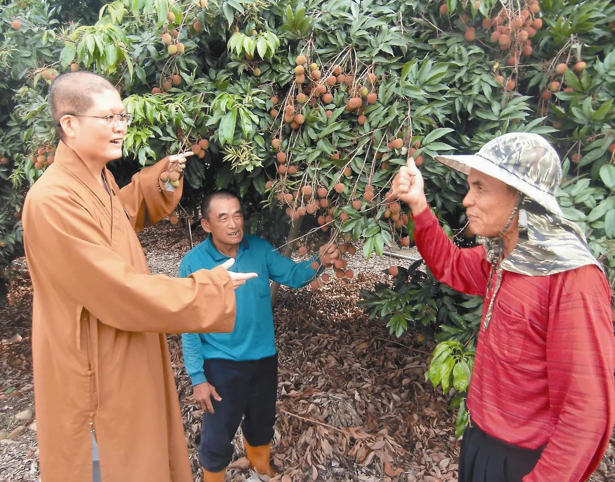 佛光山助銷玉荷包 農友揪感心
