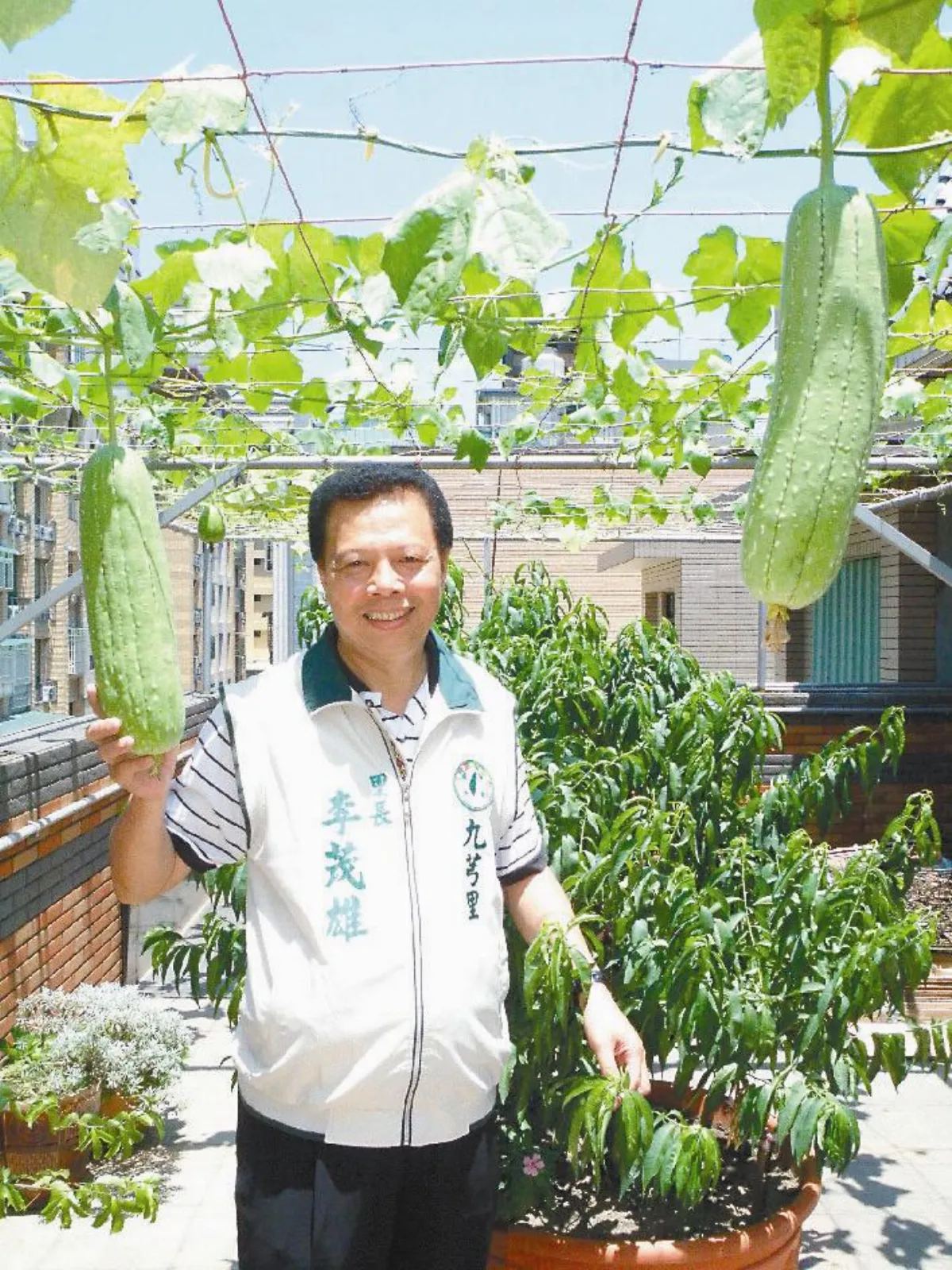 【社區部落格】李茂雄 推廣空中菜園