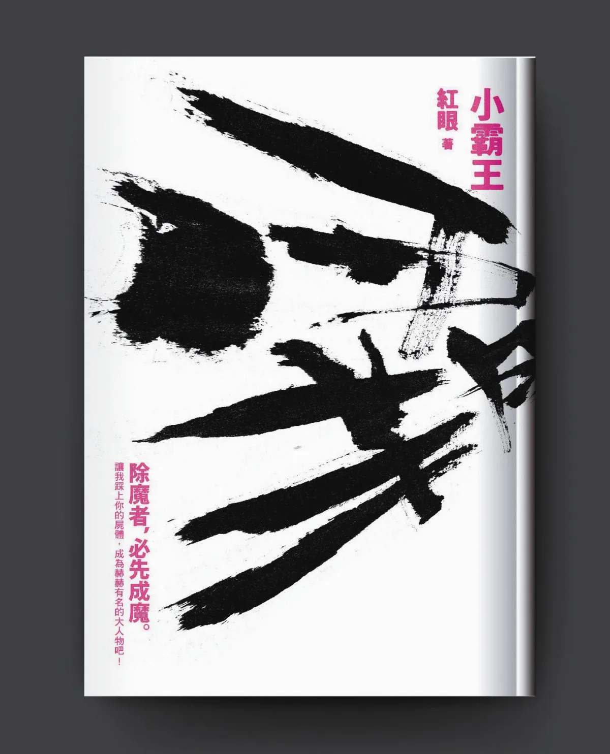 小視界 把日月換上新天的大敘事