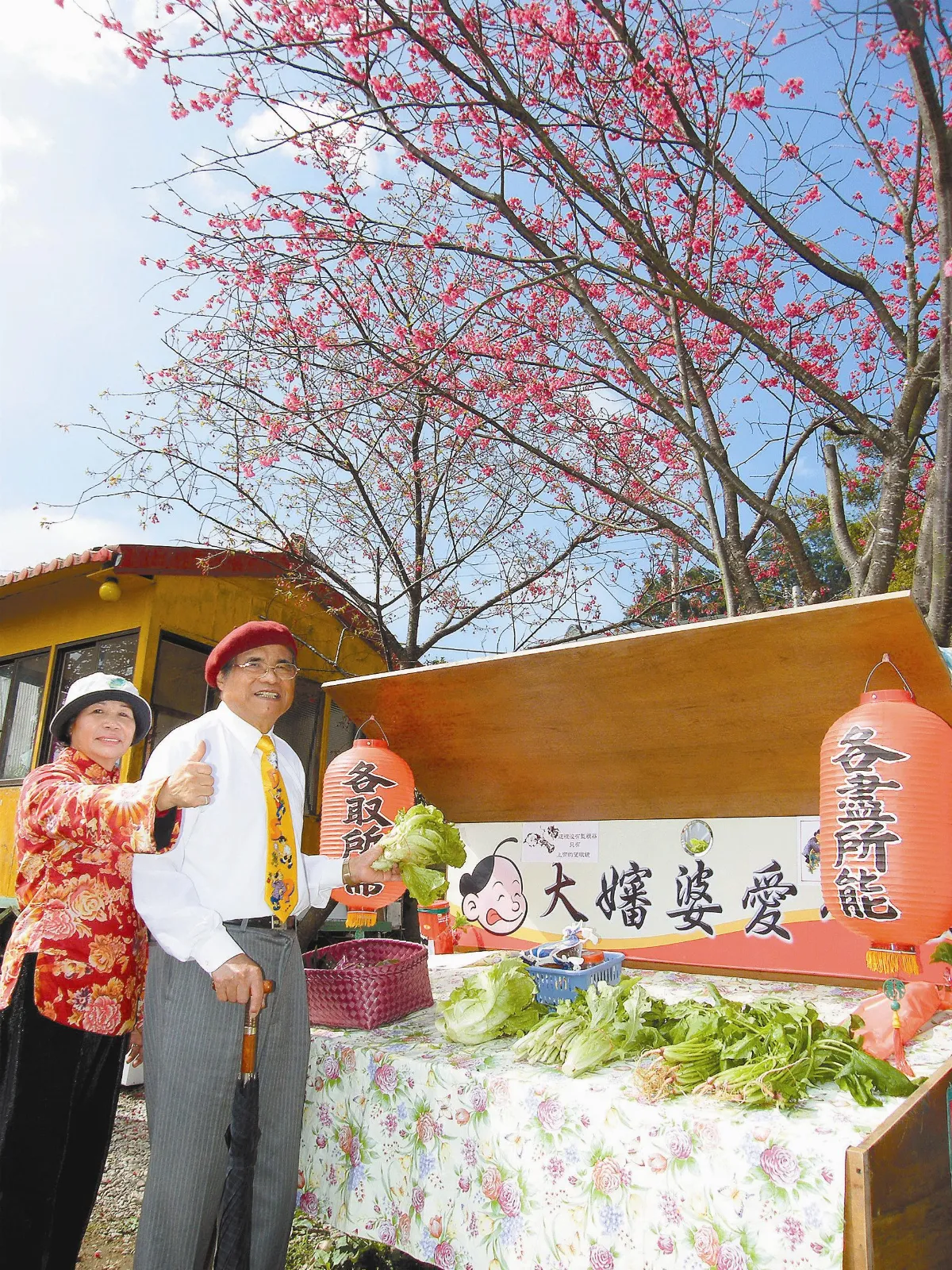 大嬸婆良心攤