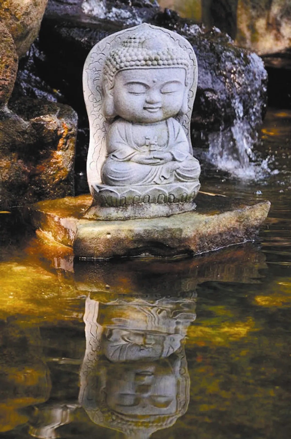 【佛法大海】五和─自心和悅