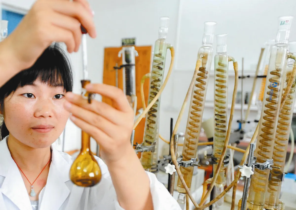 廣西融安 發展民族特色醫藥
