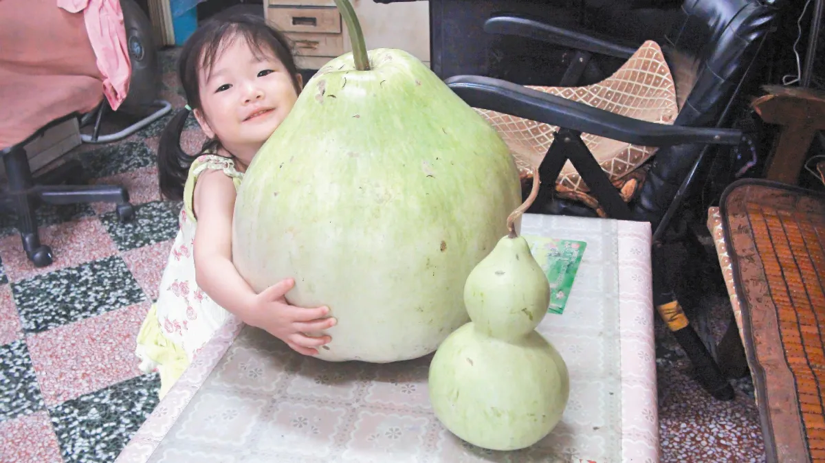 大瓠瓜搬不動