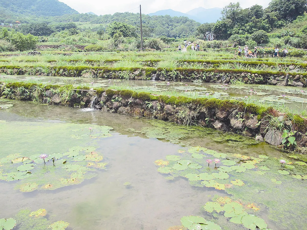 水利工程非萬靈丹防水患需因地制宜