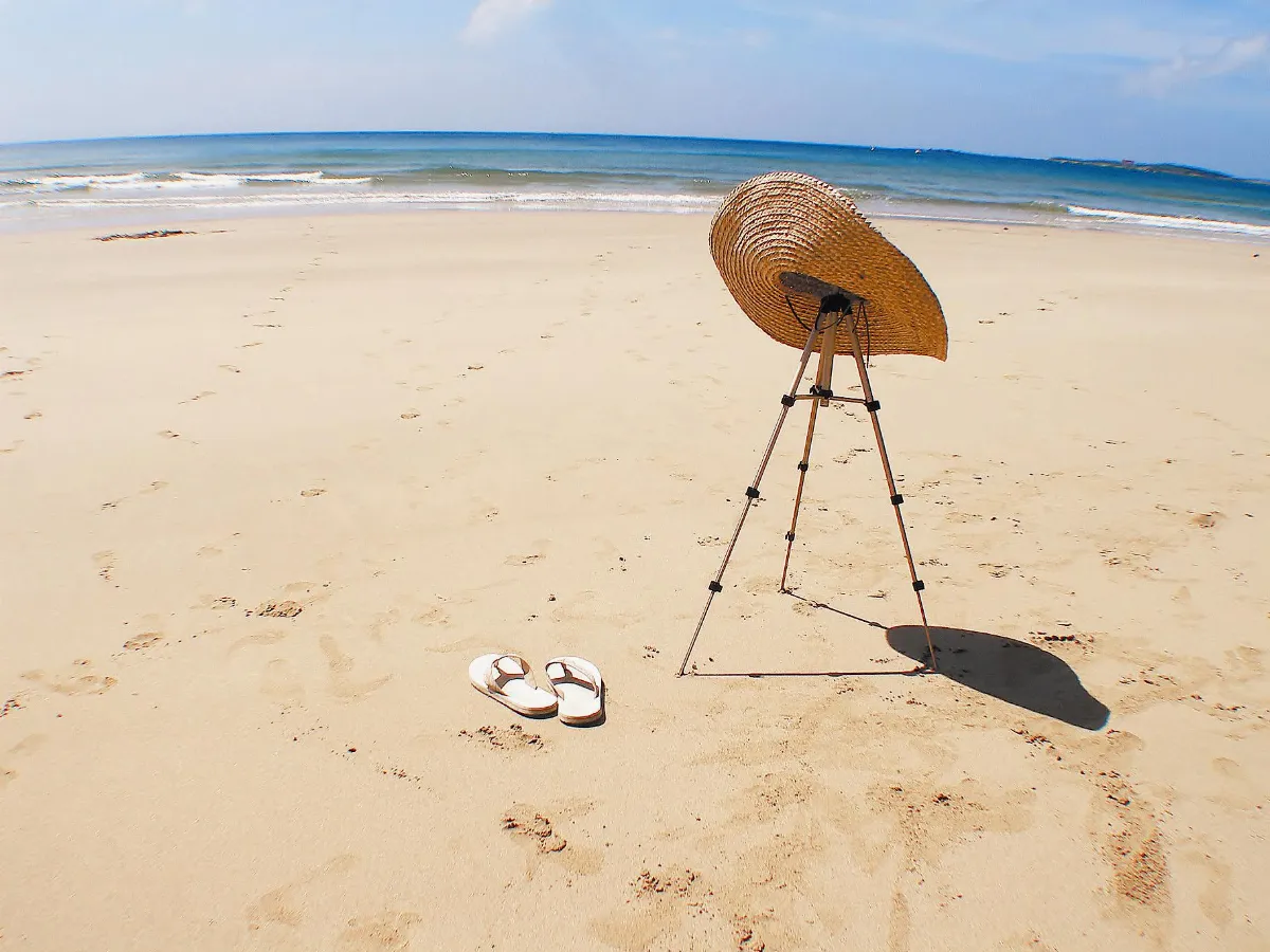 主題徵圖入選作品夏日風情