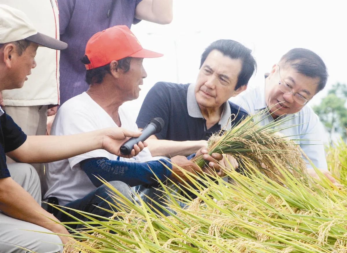 視察農損 總統：研議提高補助