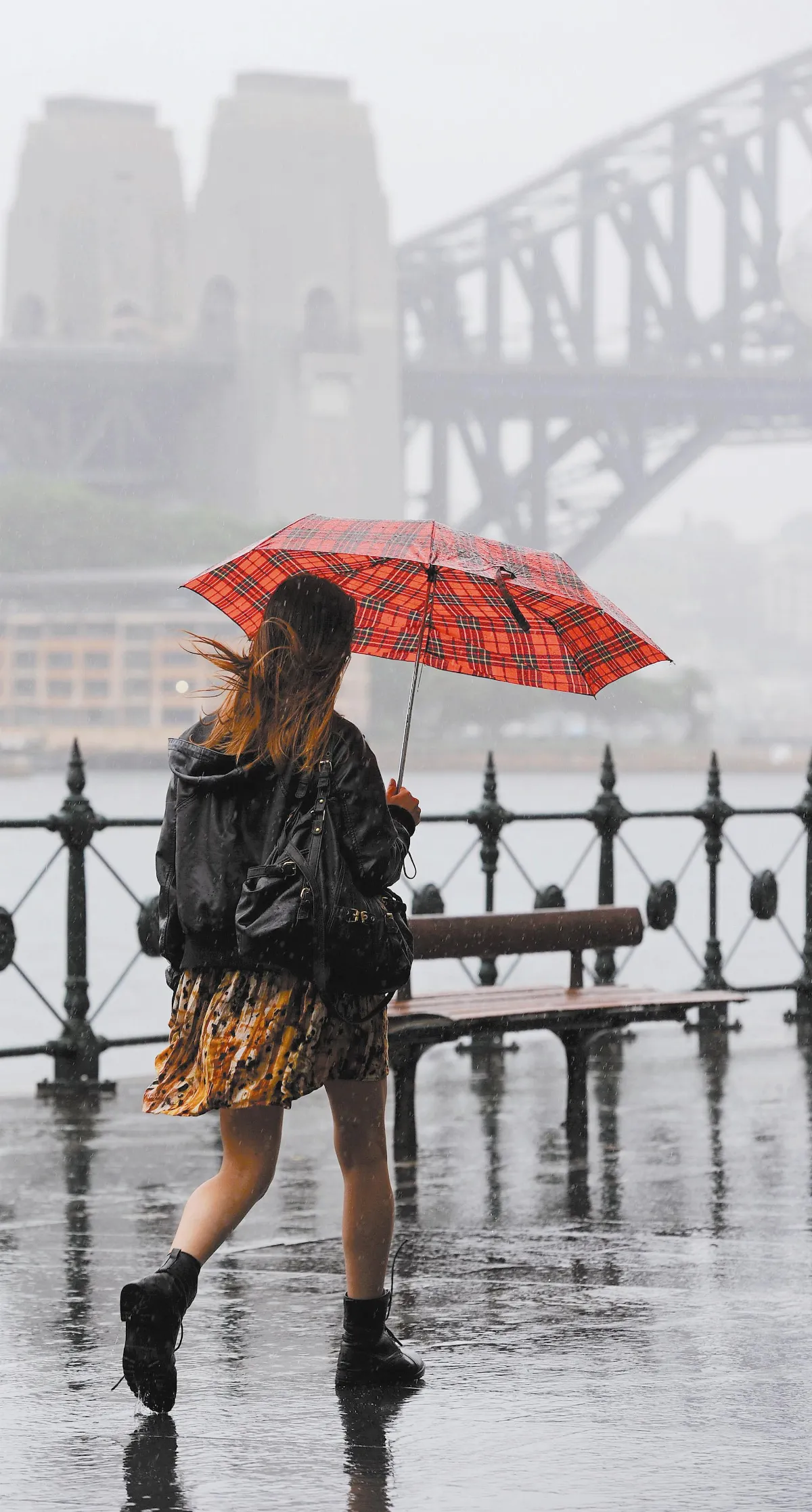 生命巧聿 人生聽雨