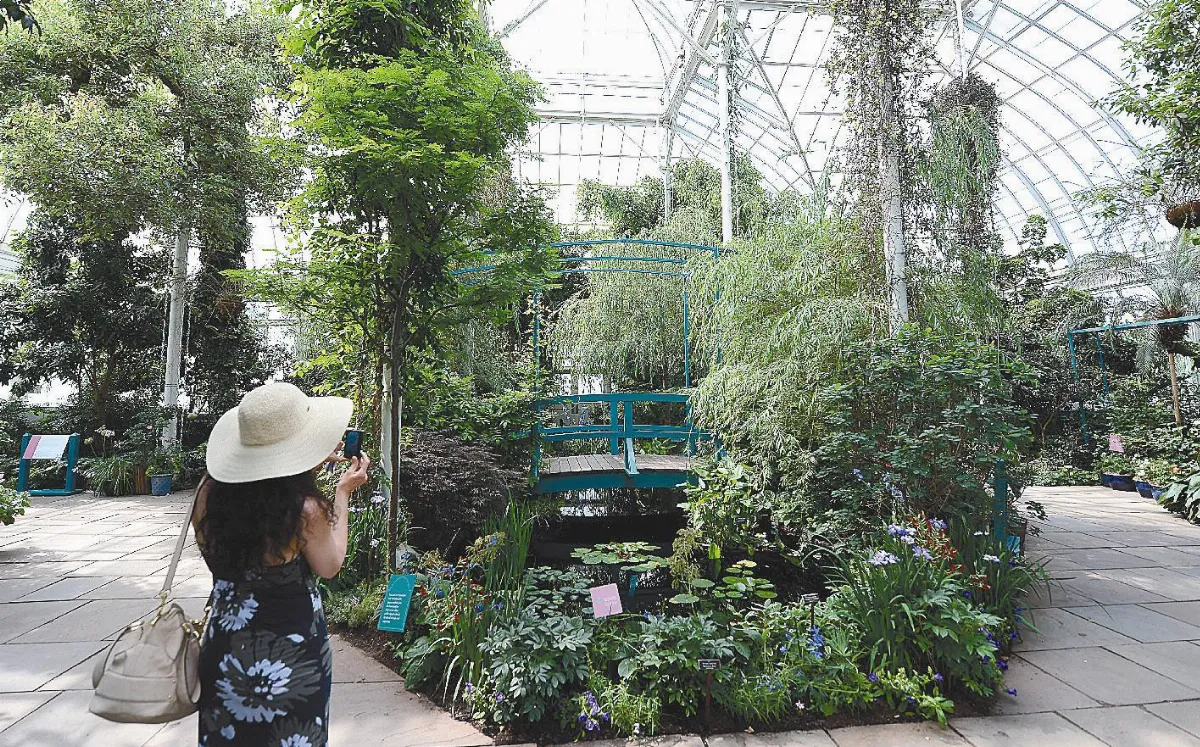 莫內花園到紐約