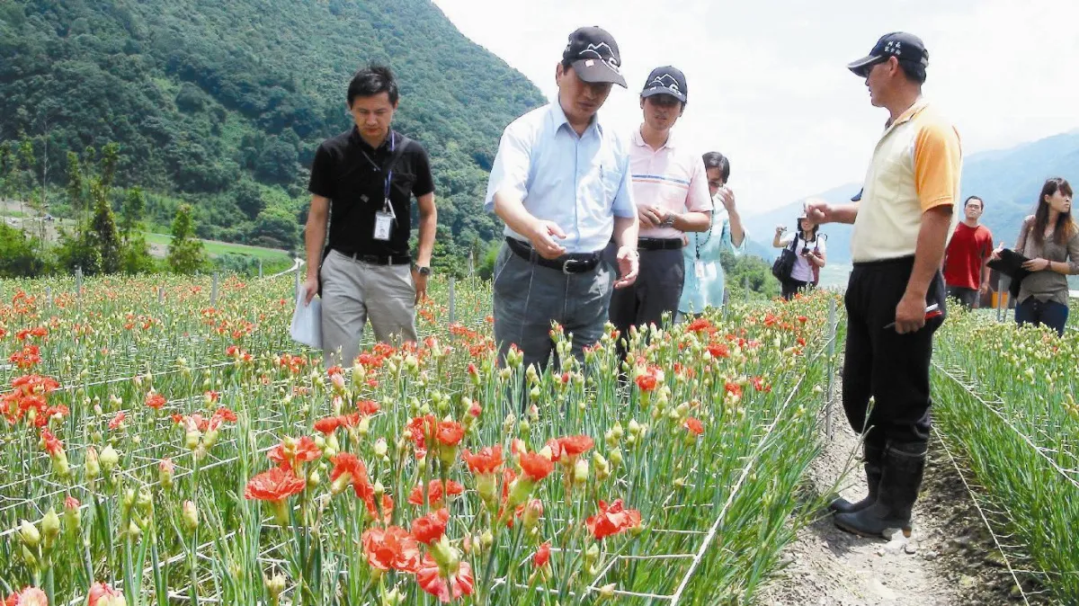 【社區部落格】禁用生雞糞 菜田變花田