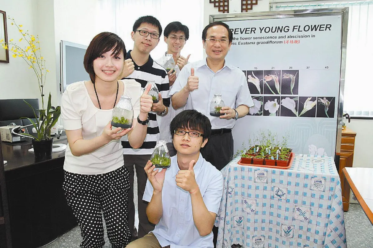 讓洋桔梗花期延長至40天興大師生 發現調控花朵老化基因