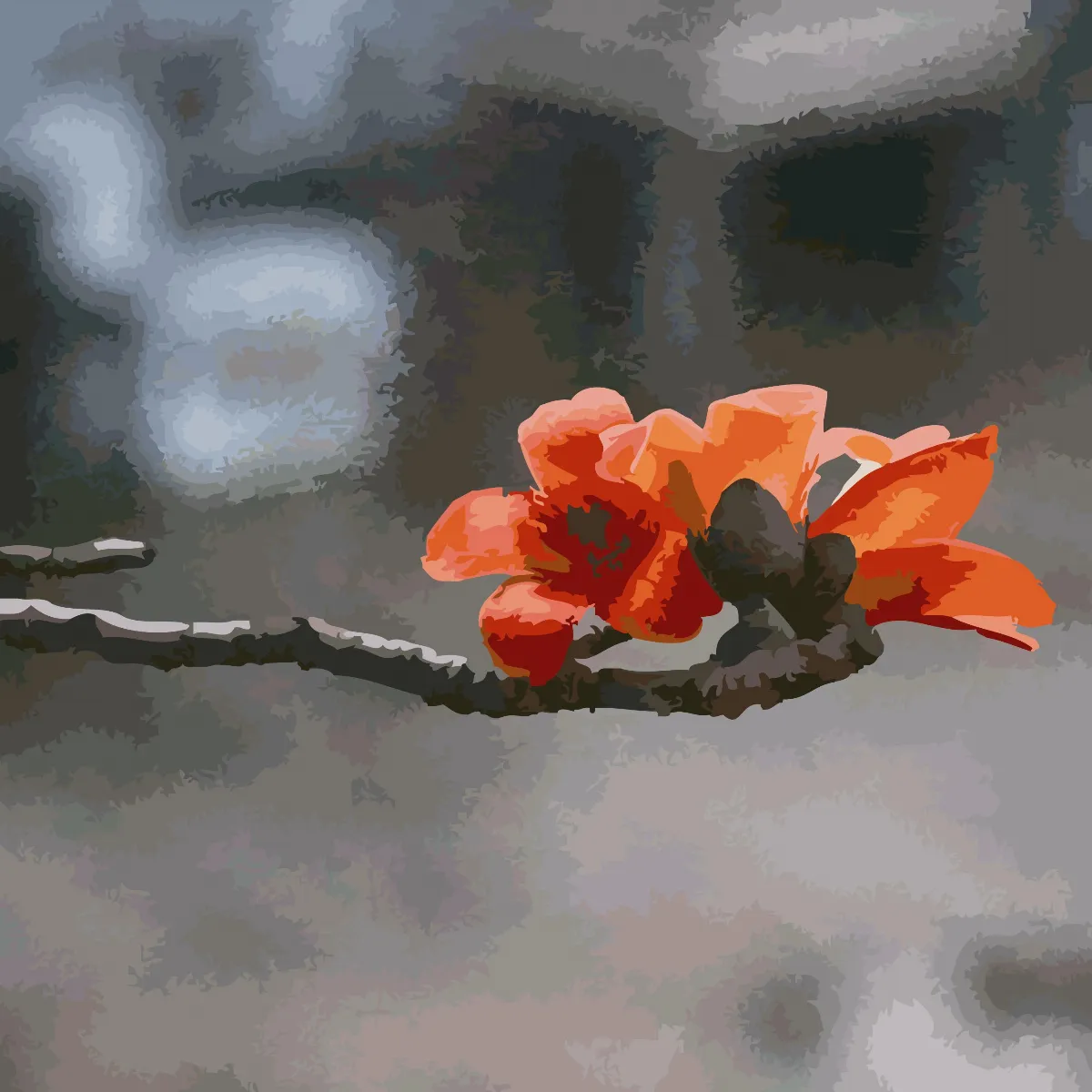 木棉 一