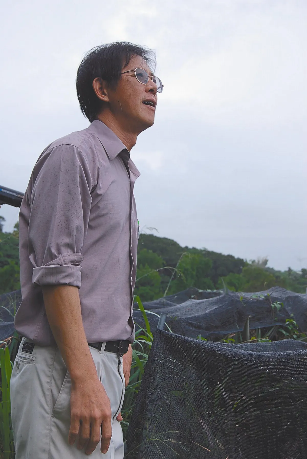 憨人 巴錦楙堅持百分百有機