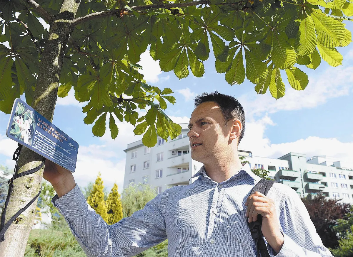 心手相傳 送樹苗行公益