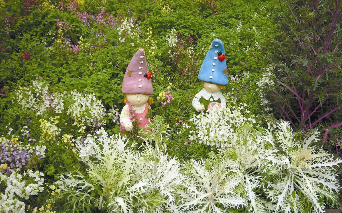 【生活快門】 夢幻花園