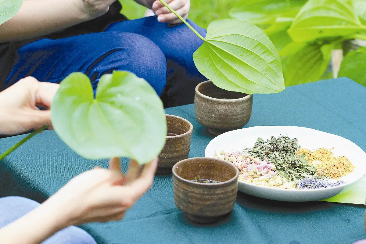 綠色創意 五感饗宴