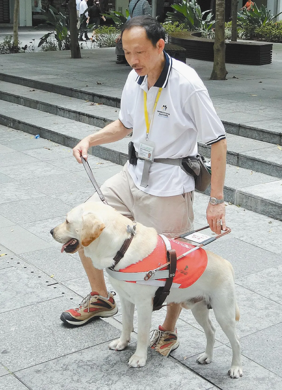台灣可魯 將帶港視障者上路