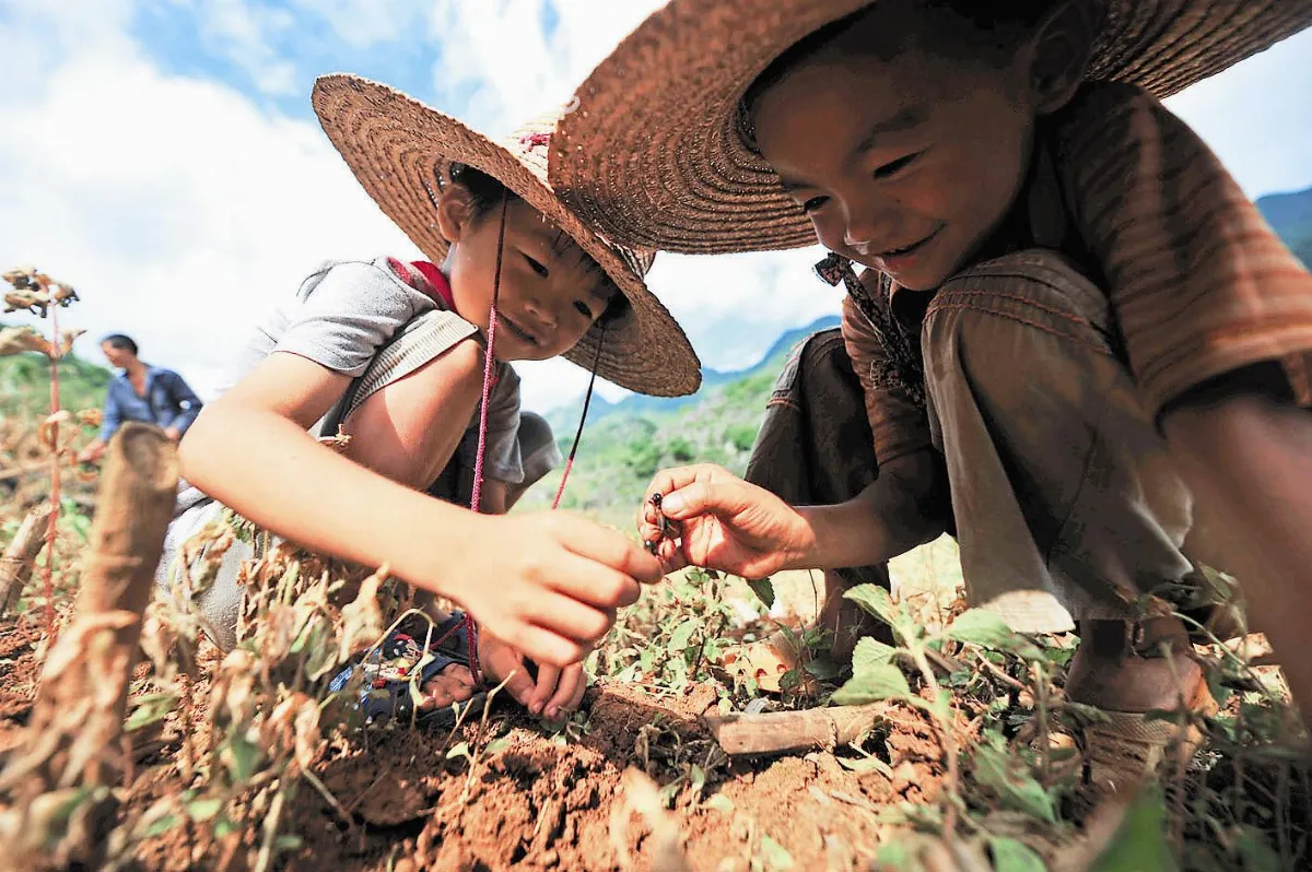 親近自然  留守兒過暑假