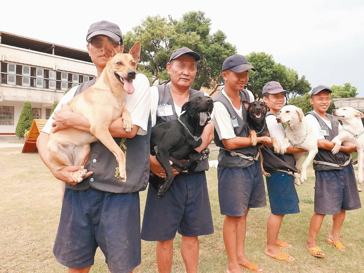 監獄犬 快來認養！