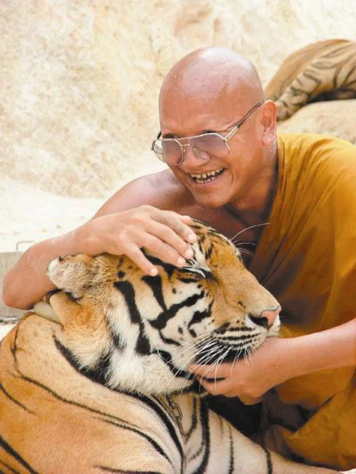 收容遺棄虎 泰佛寺成動物淨土