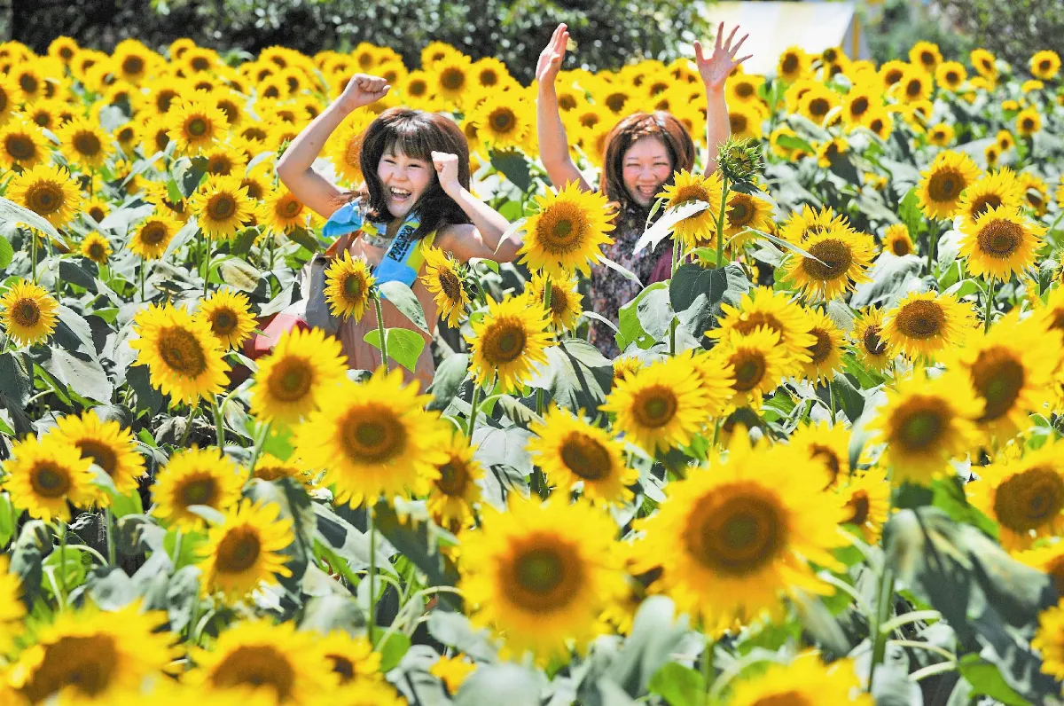 花海留倩影