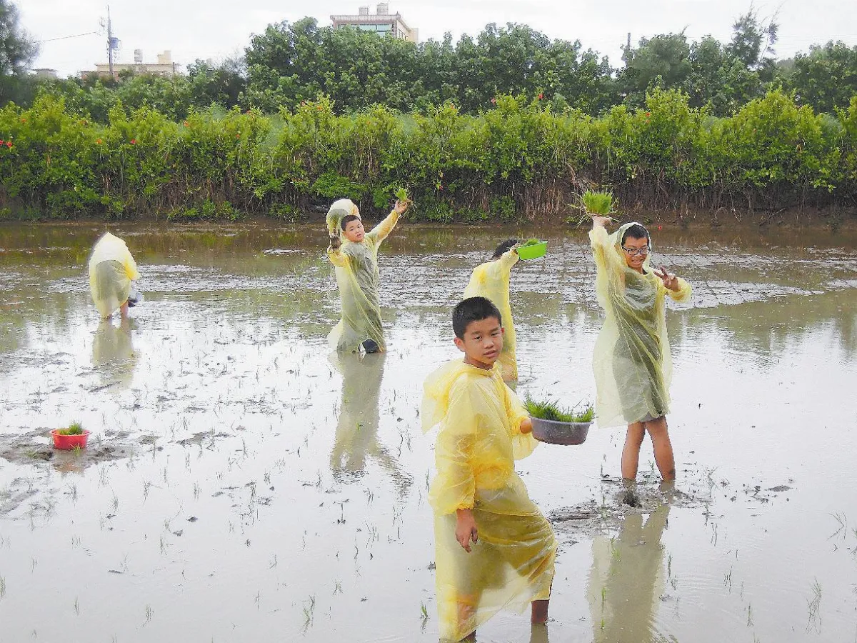 大山小六學童 風雨中體驗農夫辛勞