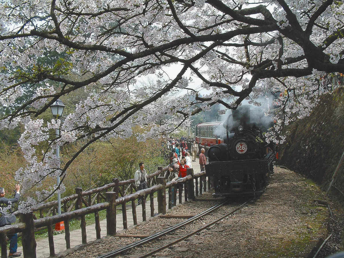 坐蒸汽小火車