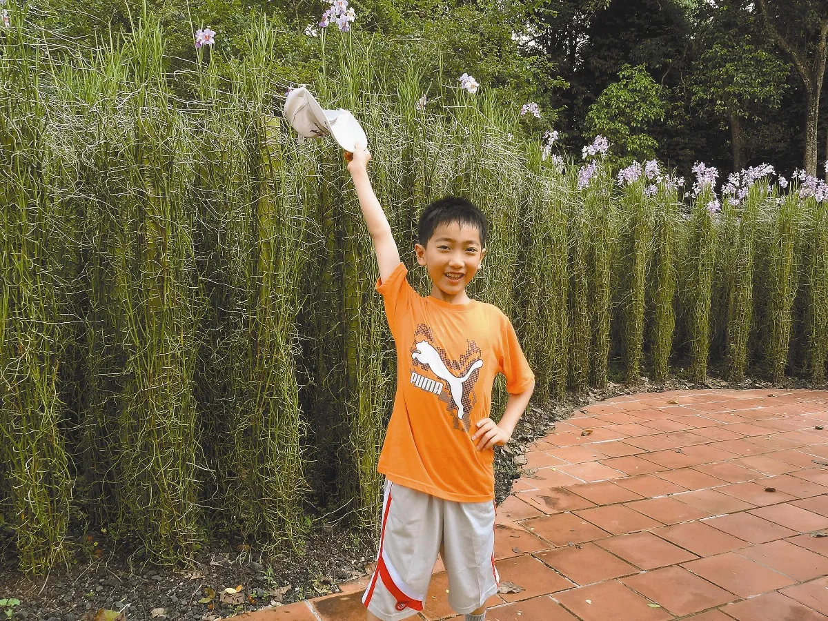 漫遊名勝  新加坡植物園