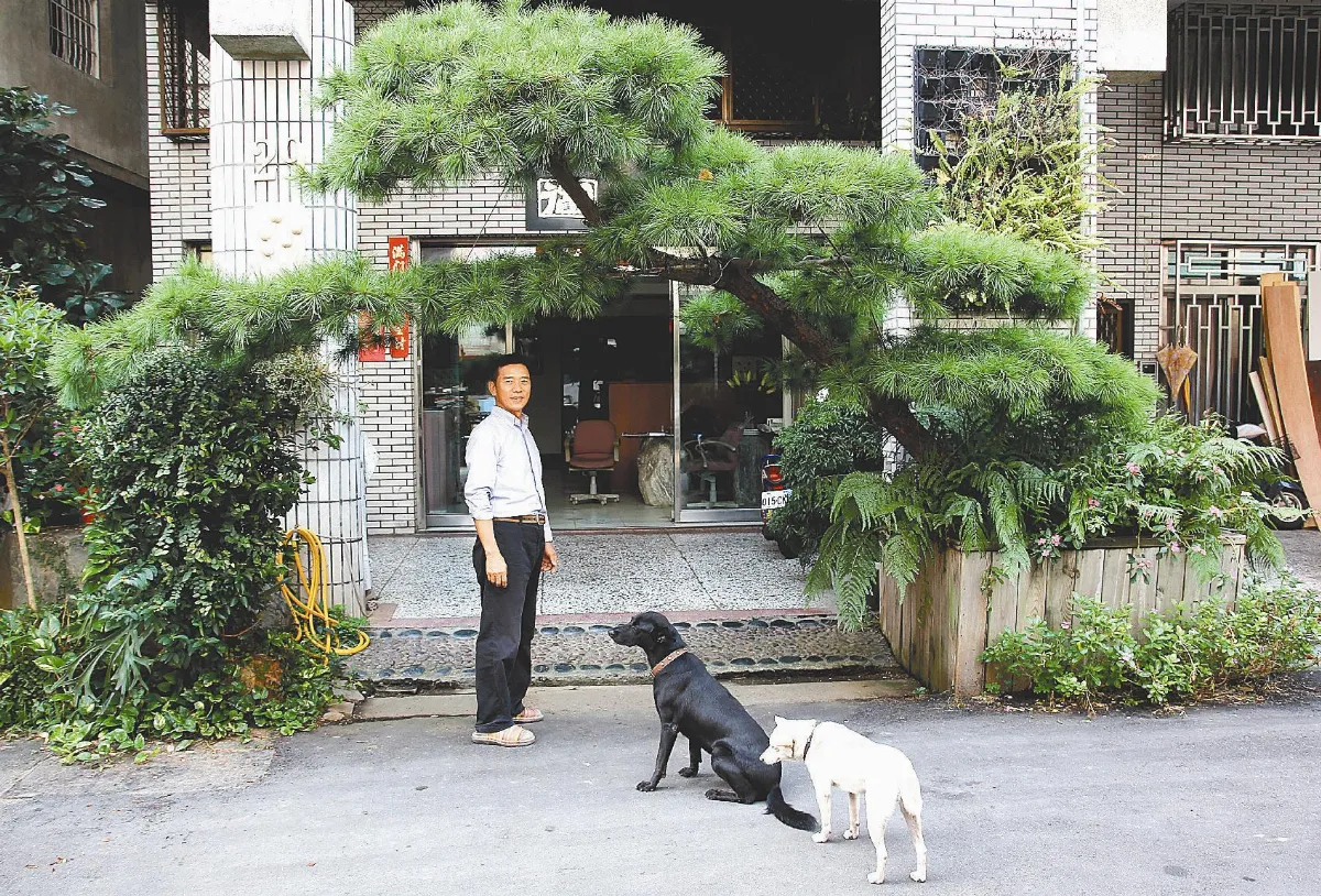 35歲五葉松拱門 公司活招牌