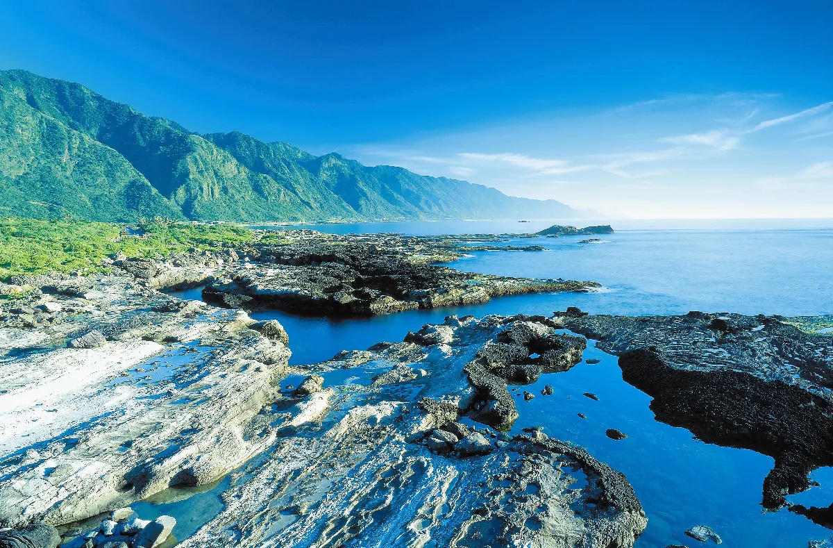 乘風破浪 東台賞鯨豚