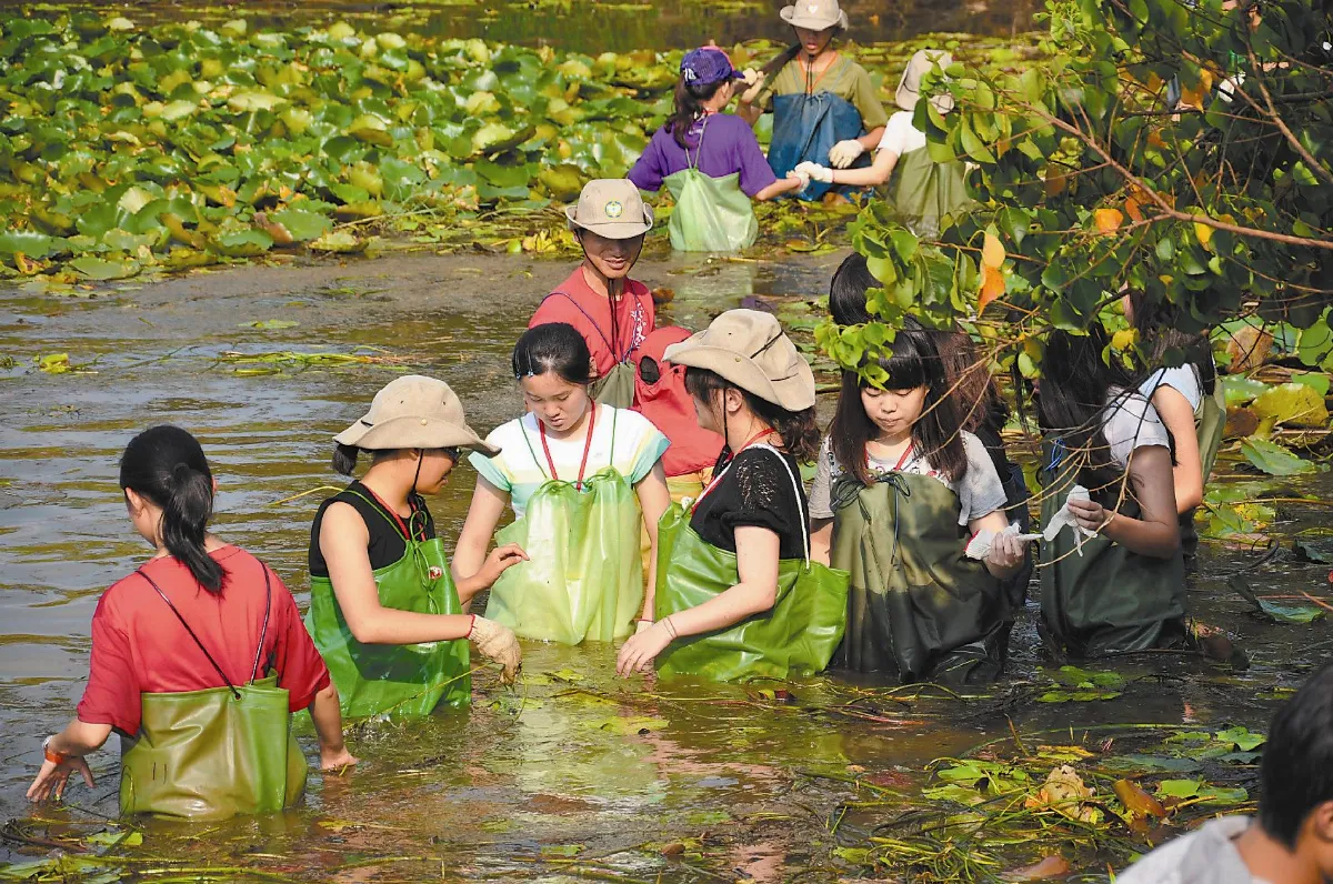 尋找農的傳人60學生泡埤塘體驗