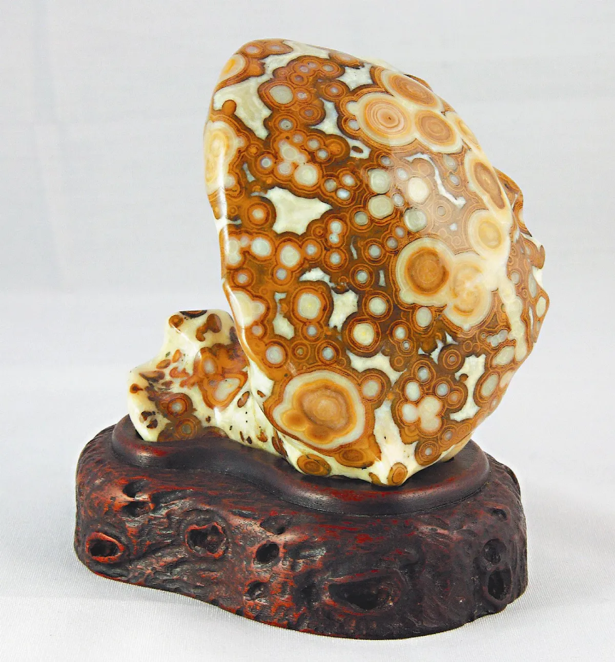 享譽世界 台千件同心圓文石開展