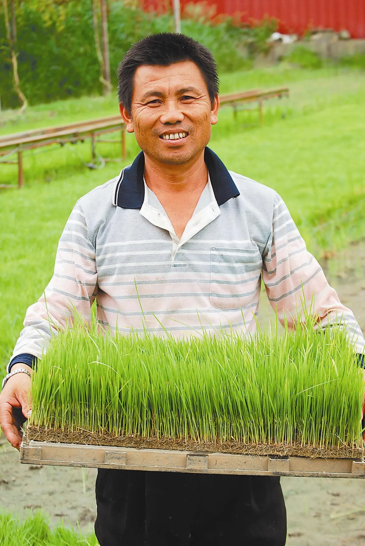 特產 農產 接續過往的榮光