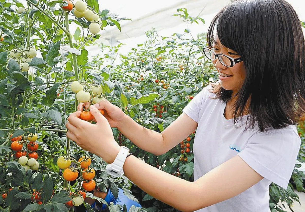 新學期拉開序幕跟著風潮交出暑假作業