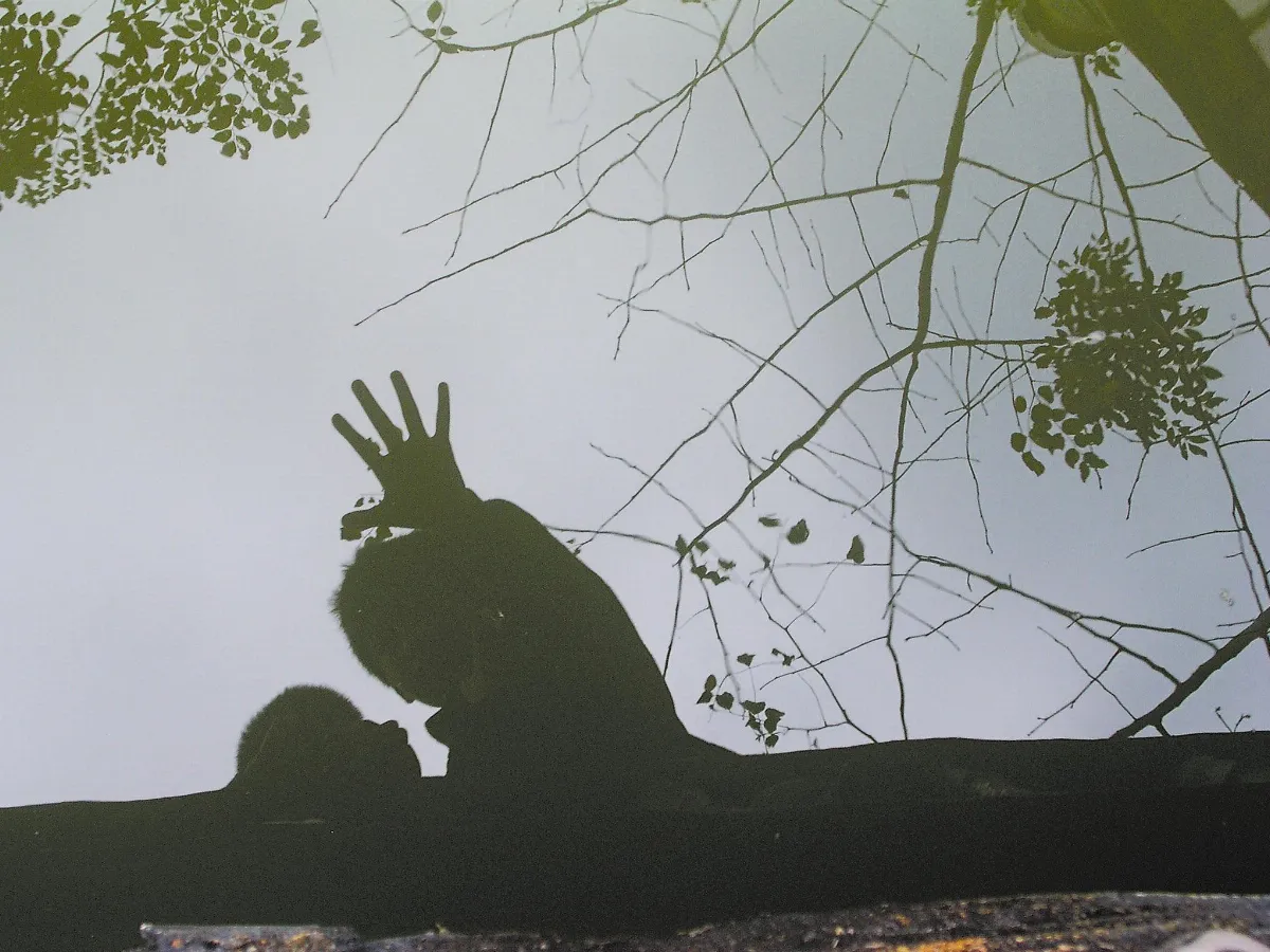 攝影 光影寫作的藝術孩子的另一扇眼睛