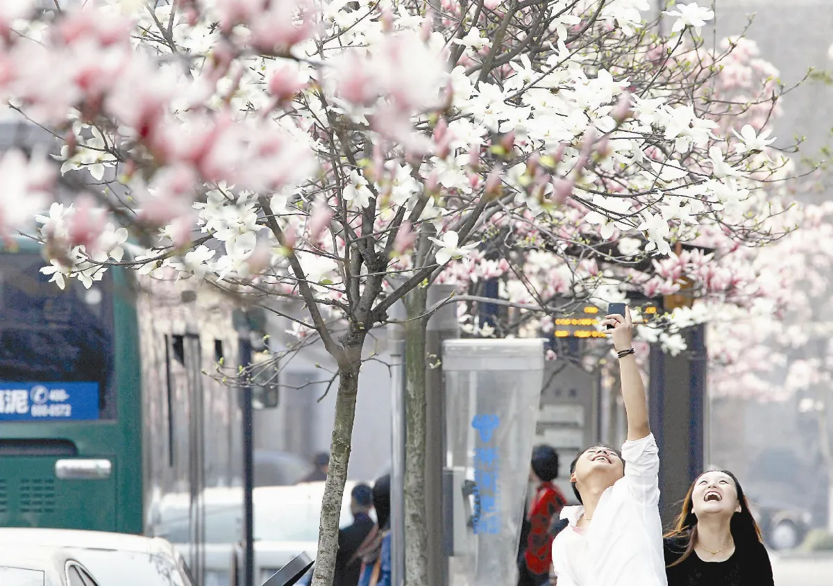女人我最大  年近30才肯嫁