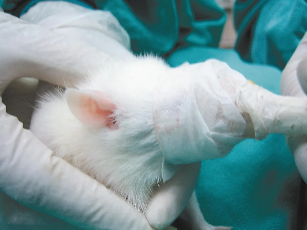 電子鼻罩 呼氣能測肝損傷