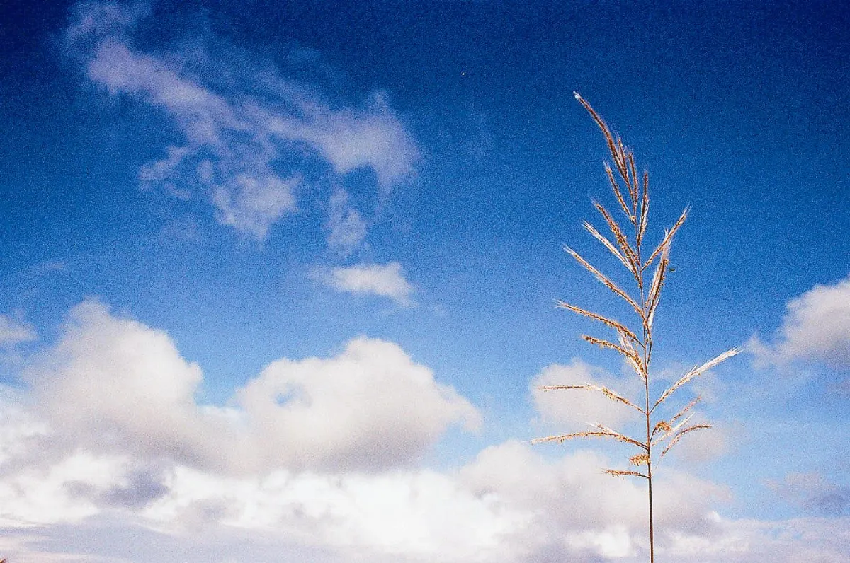 浮世畫框 迎向