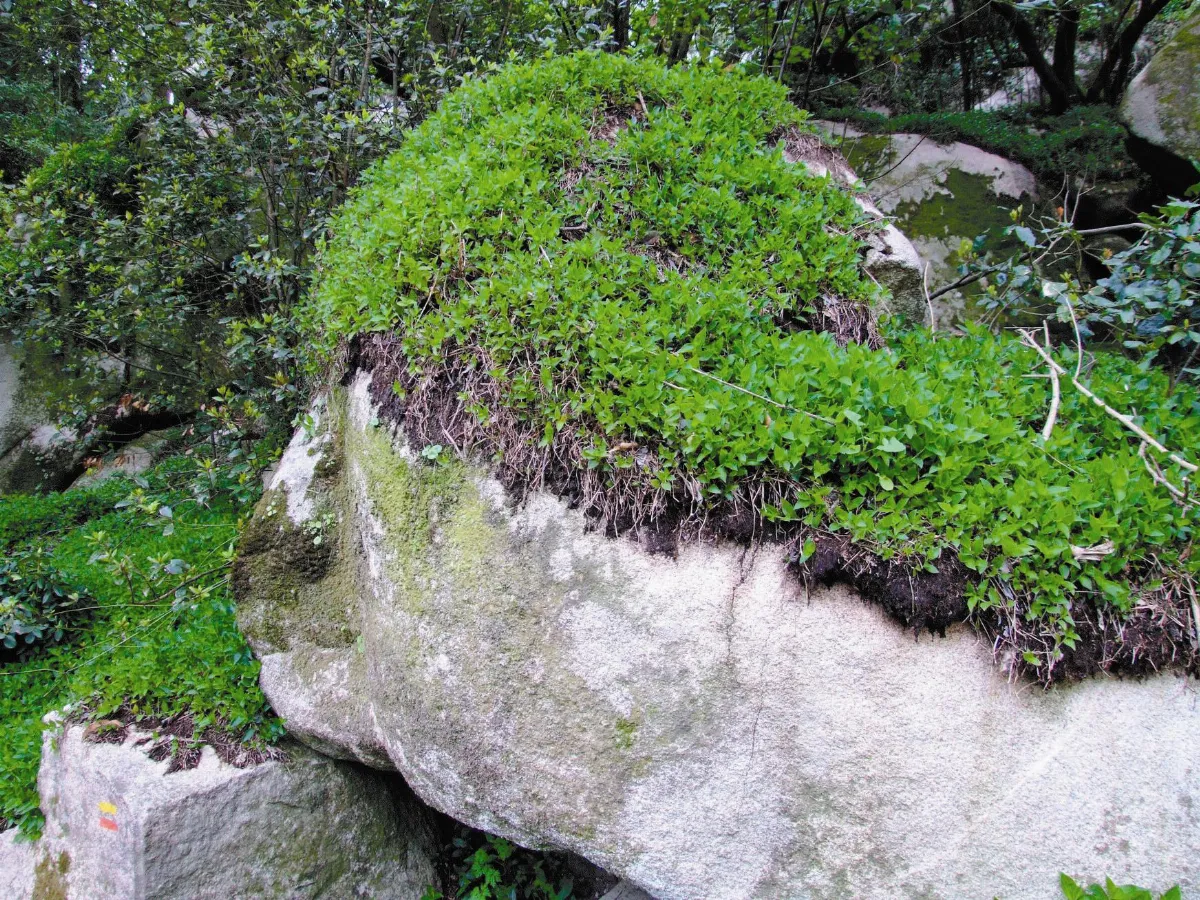世界遺產 石頭人