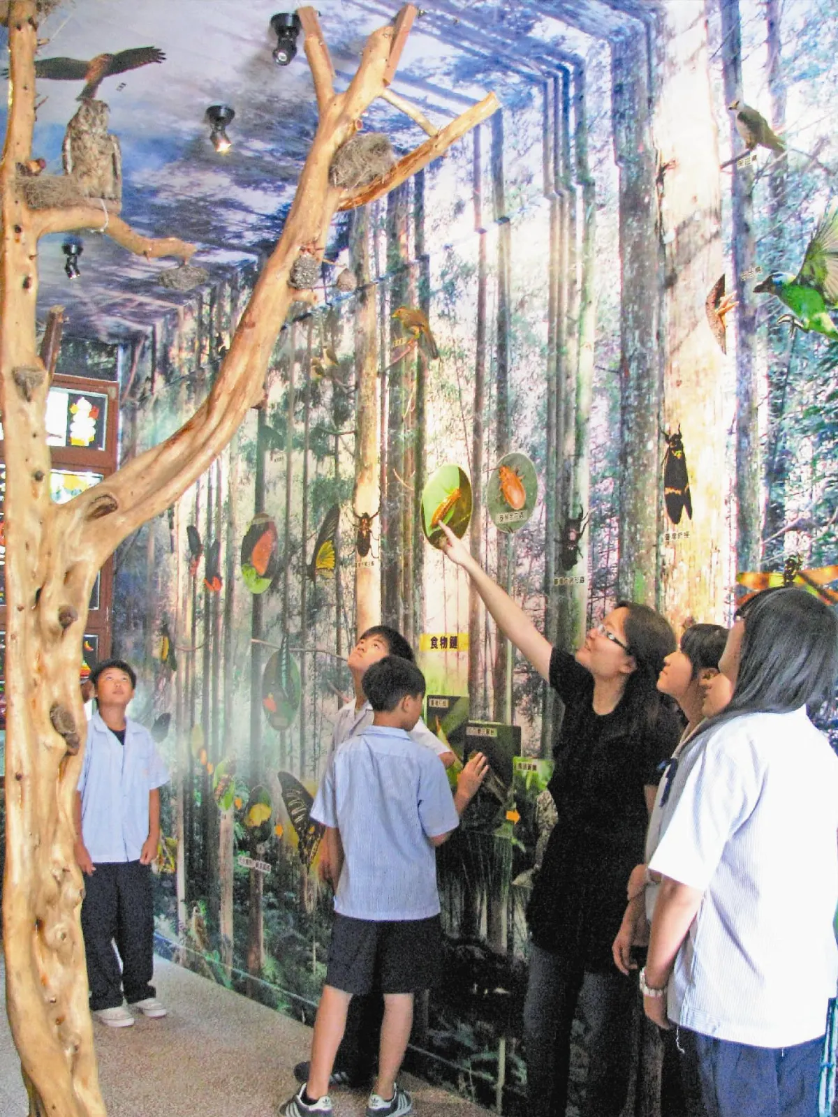 活化校園死角西湖國中生態館 栩栩如生