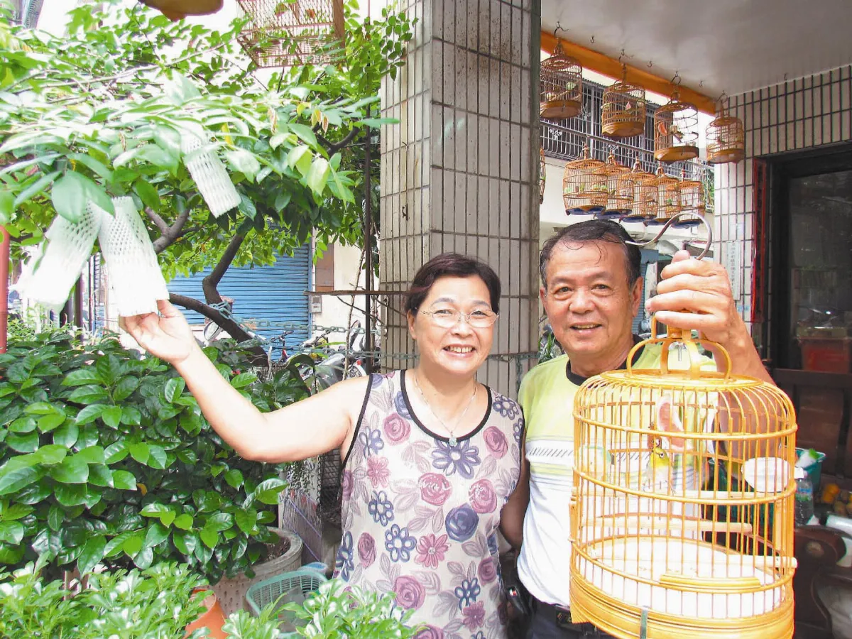 盆栽飄香鳥報晨 鄰長家如公園