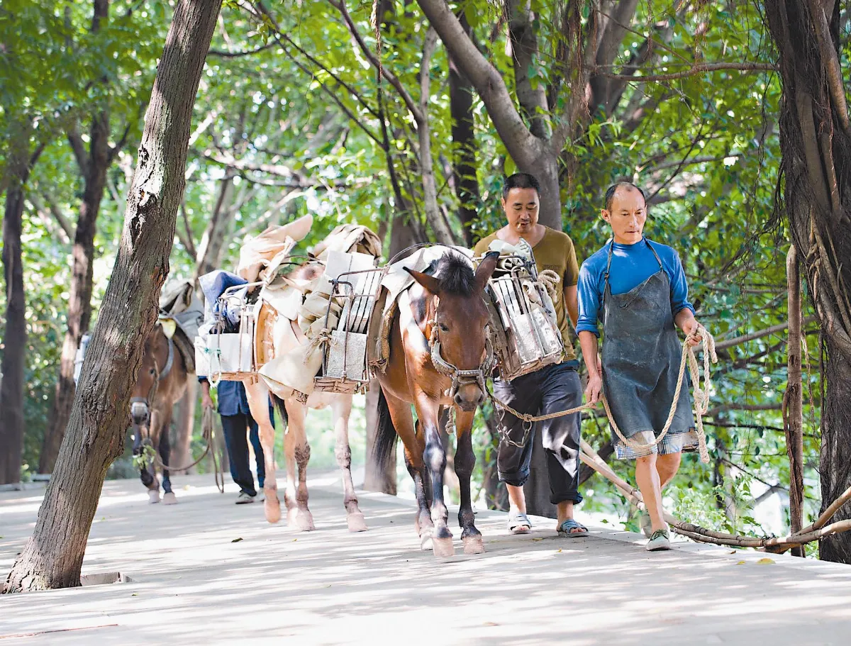 城市騾隊  穿越千年文化記憶