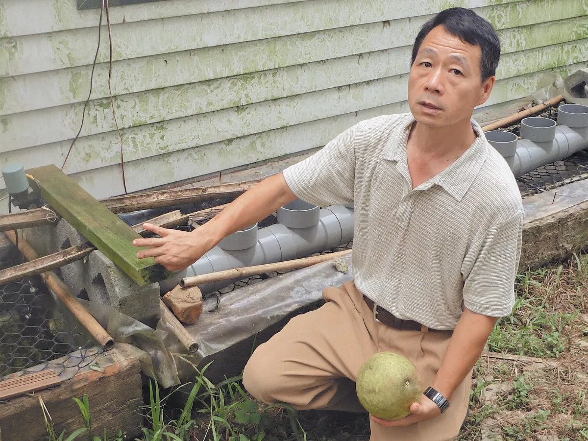 溫子文 水研究員用心守護流浪犬