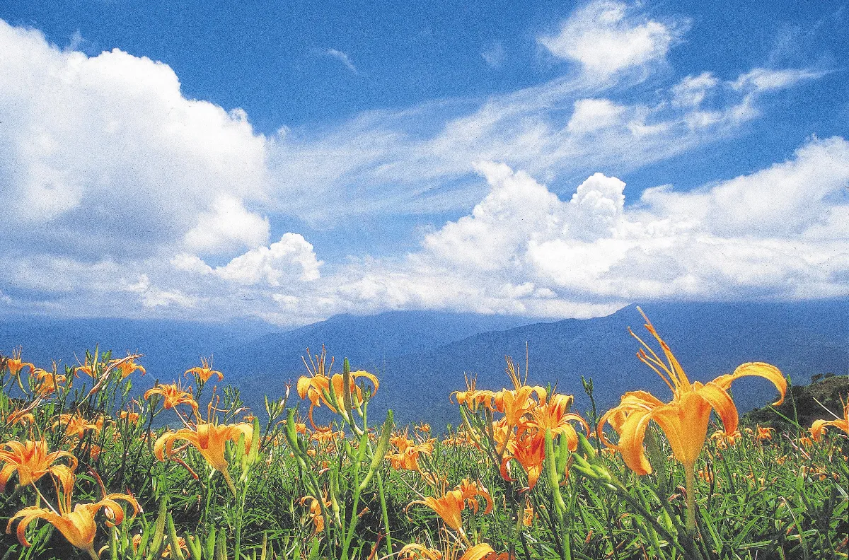 整合身心靈  癌病不復發